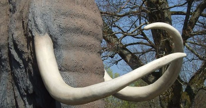 Los mastodontes pisaron Buenos Aires