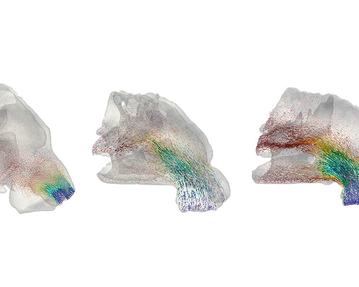 El último respiro de los Neandertales