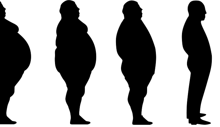 Una proteína podría reducir la obesidad Una proteína podría reducir la obesidad