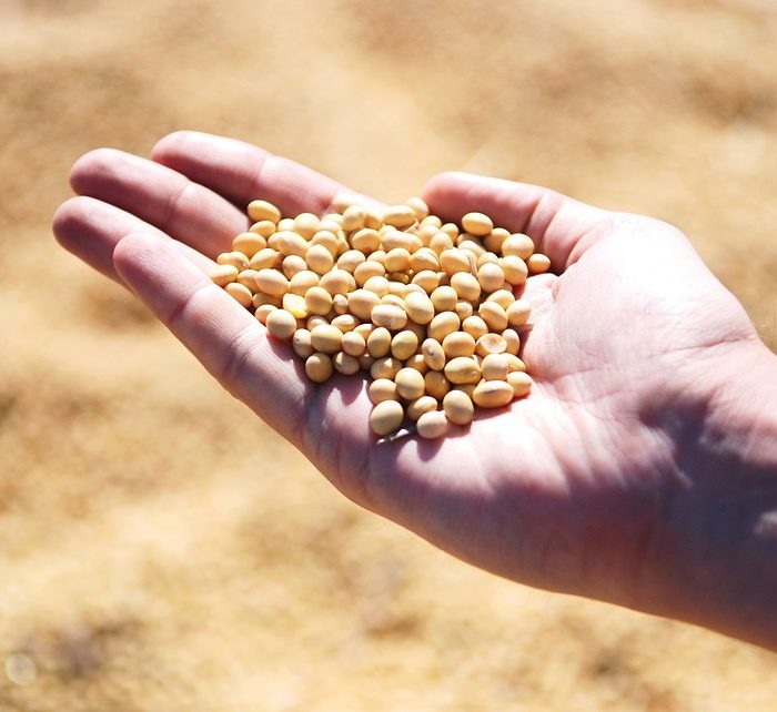 Crecen los préstamos agroindustriales en la provincia de Buenos Aires