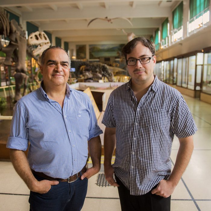 Desentrañando las relaciones de parentesco de los principales grupos de dinosaurios