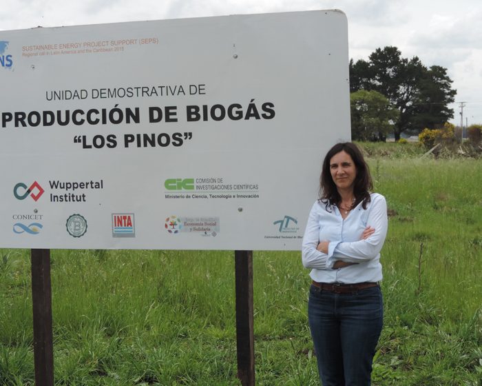 Energía en base a desechos agropecuarios