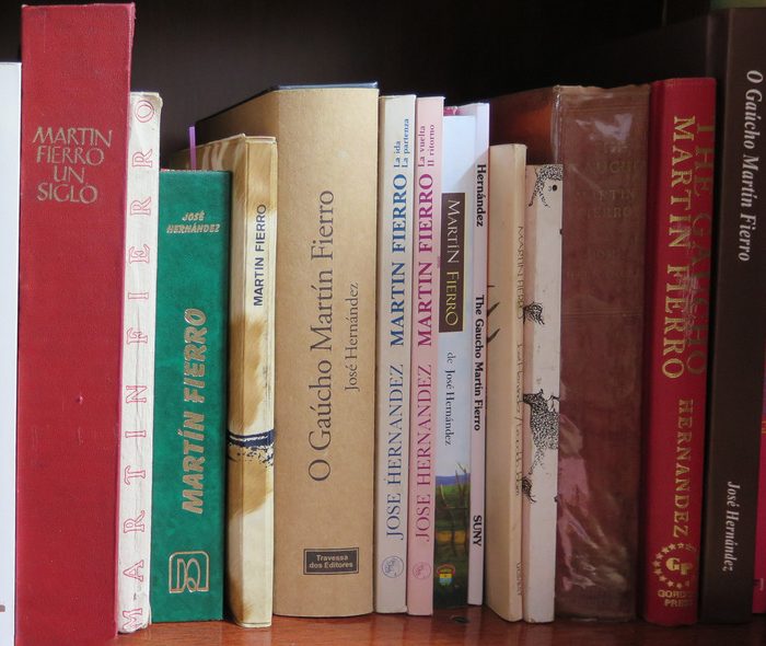 Relecturas del Martín Fierro