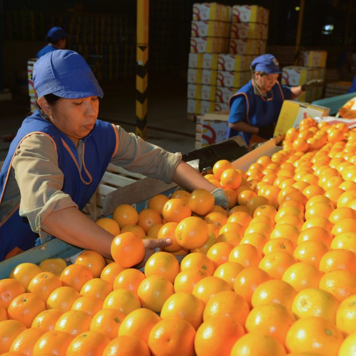 Inversión de más de U$S 8 millones para el negocio de frutas frescas, jugos y aceites esenciales