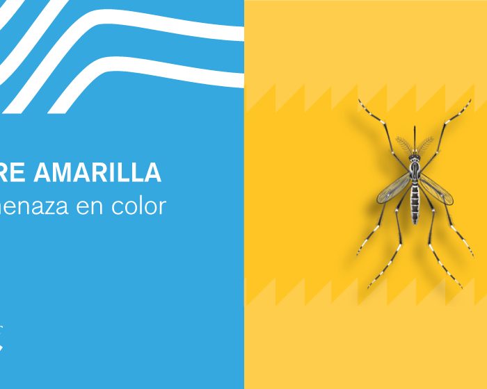 Fiebre amarilla: la amenaza en color