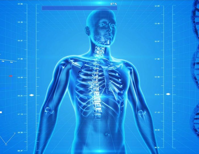 Descubren composición de tejidos del cuerpo humano que podrían facilitar cura de enfermedades