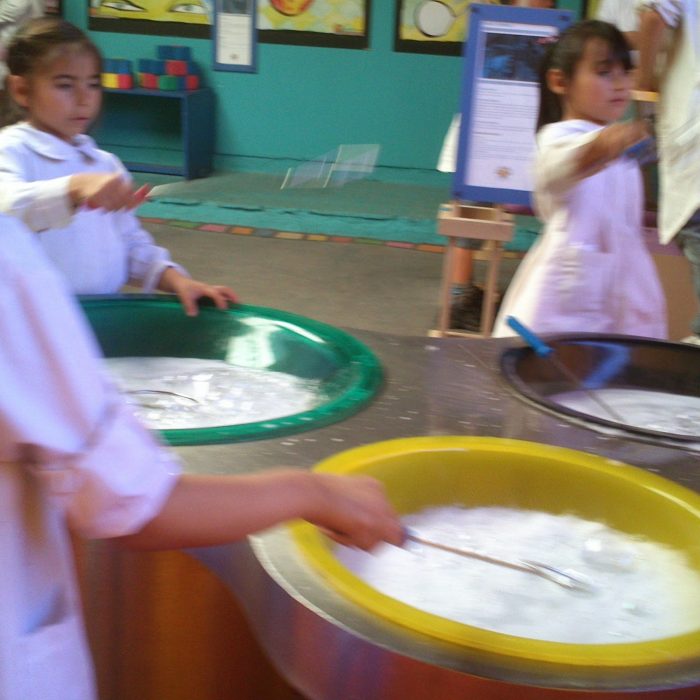 Cómo es la primera escuela sustentable del país