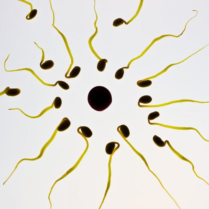 Software de libre distribución para medir la movilidad de los espermatozoides