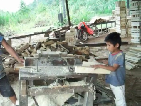 La mayor reducción global en el trabajo infantil peligroso se dio en América Latina y el Caribe