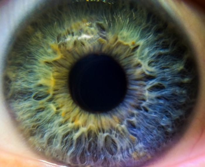 Primer estudio clínico sobre cirugía de retina asistida por robots logró resultados “exitosos”
