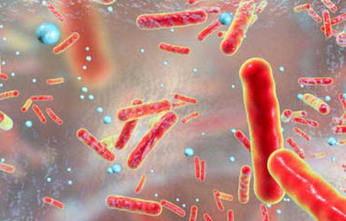 ¿Qué son los antibióticos? ¿Qué son los antibióticos?