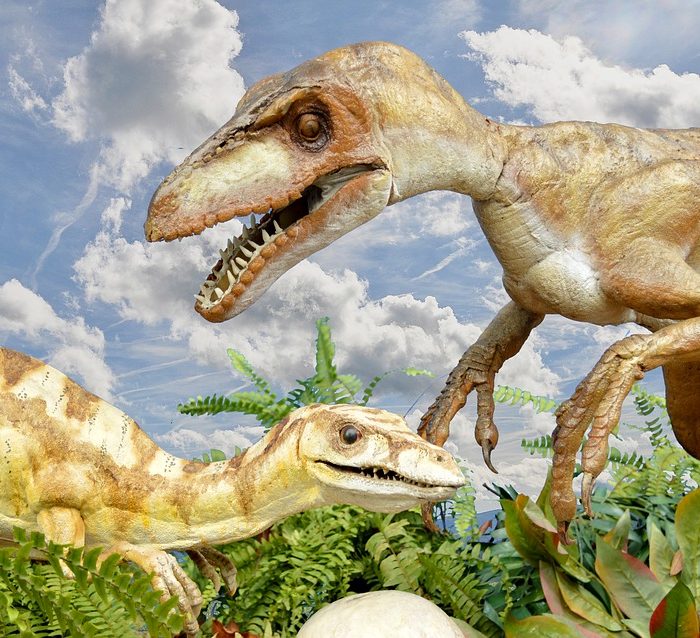 Descubren en San Juan un dinosaurio gigante de más de 200 millones de años Descubren en San Juan un dinosaurio gigante de más de 200 millones de años
