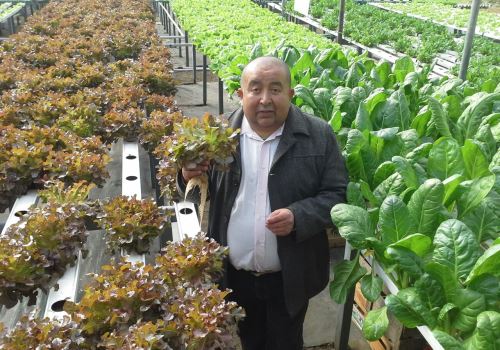 Impulsan el cultivo de huertas hidropónicas – Parte I