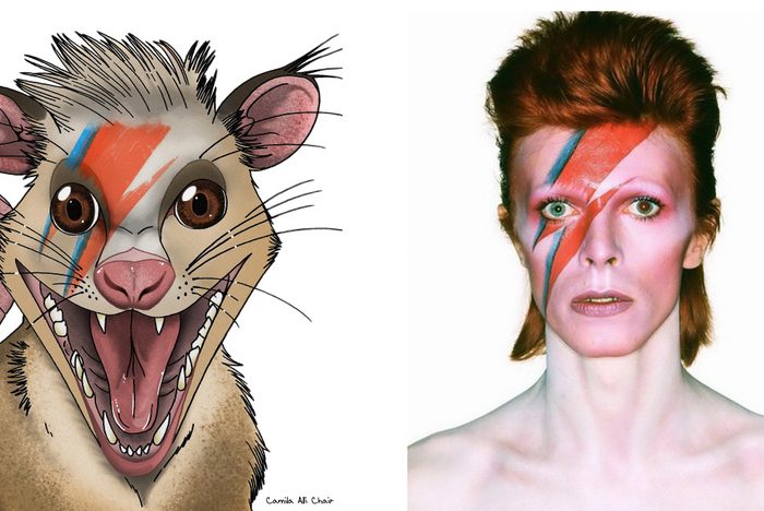 Paleontólogos honran a David Bowie tras descubrir un mamífero que convivió con dinosaurios