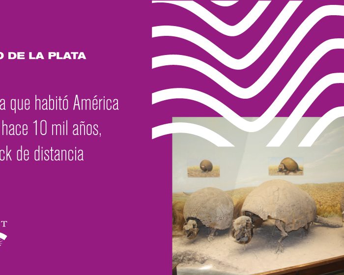 La fauna que habitó América del Sur hace 10 mil años, a un click de distancia