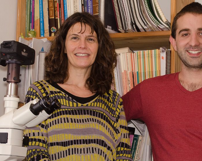 Reutilización de desechos urbanos para producción de hongos comestibles Reutilización de desechos urbanos para producción de hongos comestibles