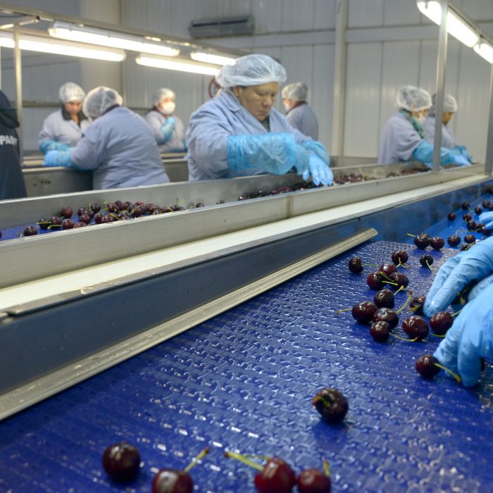 Certificación del primer envío de cerezas argentinas a China