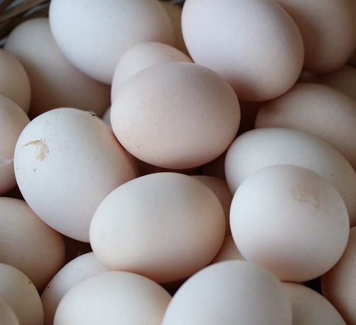 La avícola ratifica que el huevo es un alimento seguro