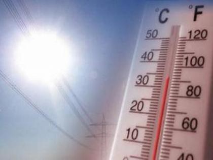 Calentamiento global, el 2019 acumula records de temperaturas
