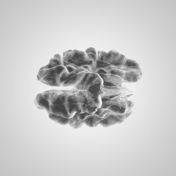 ¿Cómo tratar una lesión cerebral?