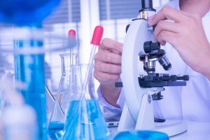 Cómo los hongos producen compuestos con posibles aplicaciones farmacéuticas