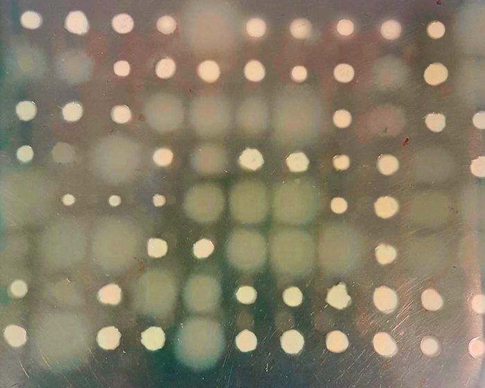 Aisladas o en comunidad, las bacterias se defienden usando sistemas muy distintos Aisladas o en comunidad, las bacterias se defienden usando sistemas muy distintos