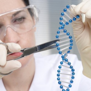 Una versión mejorada de CRISPR-CAS9 permitiría corregir un 89% de las alteraciones genéticas asociadas a enfermedades Una versión mejorada de CRISPR-CAS9 permitiría corregir un 89% de las alteraciones genéticas asociadas a enfermedades