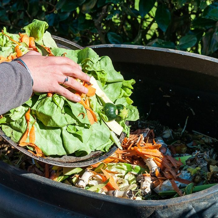 “El desperdicio de alimentos es un tercio de lo que se produce en el mundo”