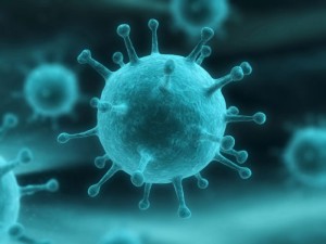 Identifican un nuevo antiviral contra la gripe