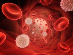 Los lípidos producidos por el organismo ayudan a controlar el azúcar en la sangre