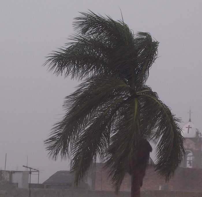 La velocidad del viento en algunas regiones de la Tierra aumentó un 7% en la última década