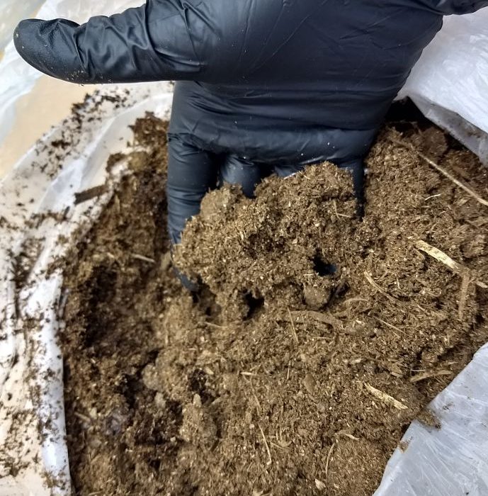 Mediante abonos orgánicos, buscan remediar suelos contaminados con insecticidas