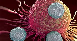 Sólo se registra cada año entre el 9 y el 13% de los casos de cáncer Sólo se registra cada año entre el 9 y el 13% de los casos de cáncer