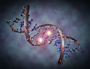 El cáncer y las pruebas genómicas ¿la medicina del futuro? El cáncer y las pruebas genómicas ¿la medicina del futuro?