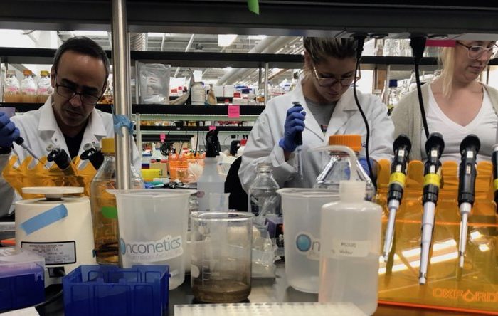 Científicos argentinos crearon un kit portátil y de bajo costo para diagnosticar coronavirus Científicos argentinos crearon un kit portátil y de bajo costo para diagnosticar coronavirus