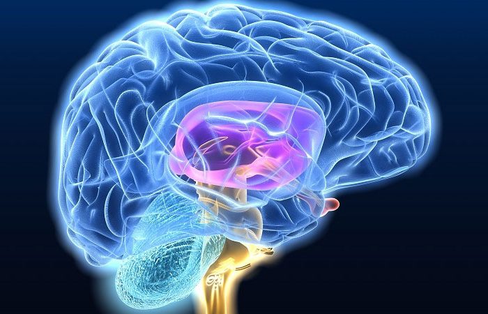 Los nuevos biomarcadores en enfermedades neurodegenerativas permitirán un diagnóstico precoz