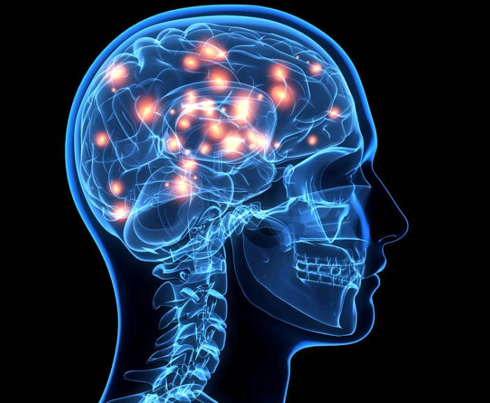 Investigadores argentinas identificaron una hormona que creen que acelera los tumores cerebrales
