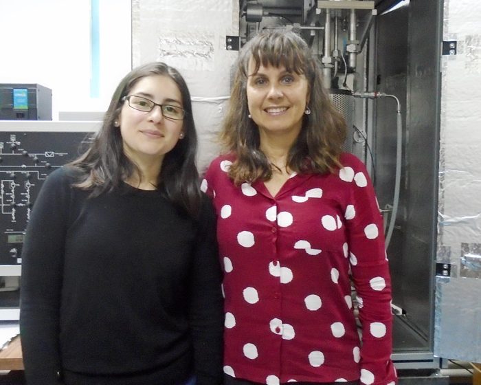 Reutilizan dióxido de carbono para producir gas natural