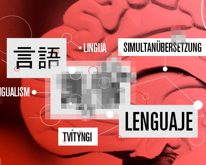 ¿Qué son las neurociencias del lenguaje?