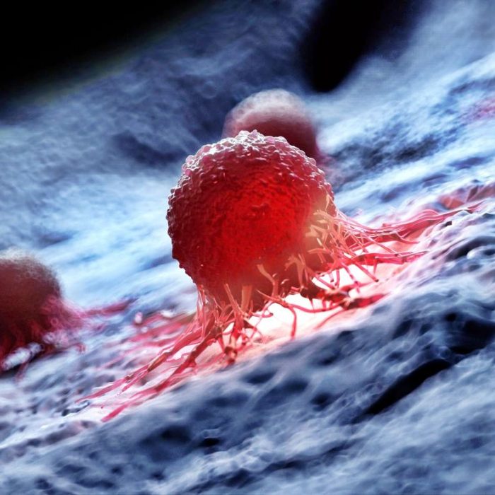 Un estudio internacional analizó el genoma de 2.700 tumores para nuevas terapias contra el cáncer Un estudio internacional analizó el genoma de 2.700 tumores para nuevas terapias contra el cáncer