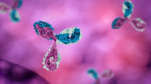 Un anticuerpo monoclonal, posible nueva vía contra la rabia