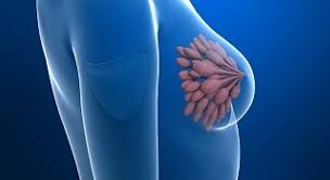 Más de 129.000 casos nuevos de cáncer tiene la Argentina cada año