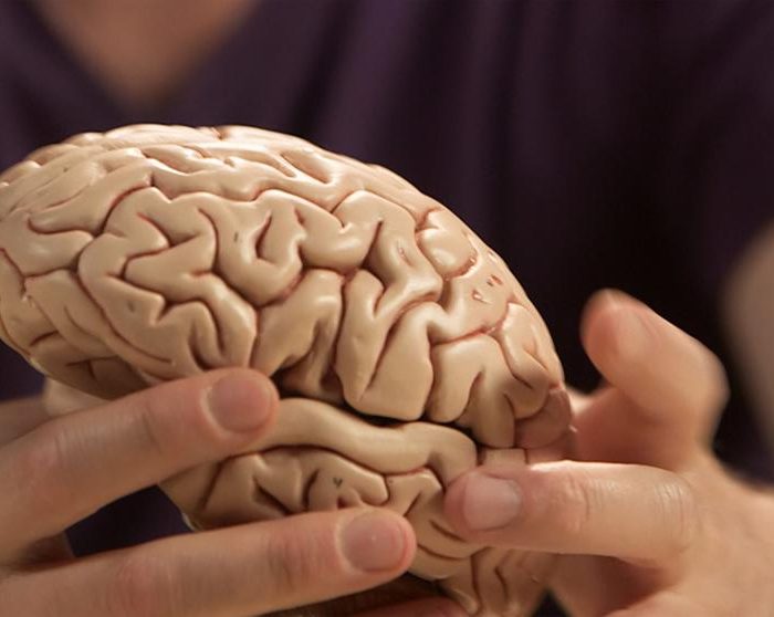 Investigadores españoles descubren cómo frenar el cáncer de cerebro más mortal