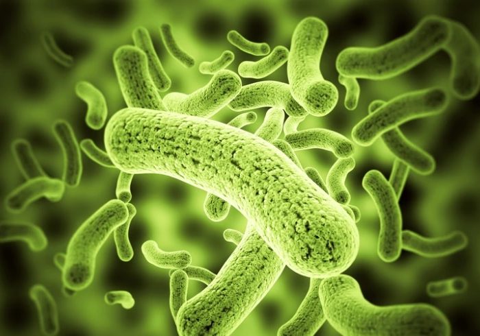 Desarrollan un mapa de riesgo de infección por parásitos