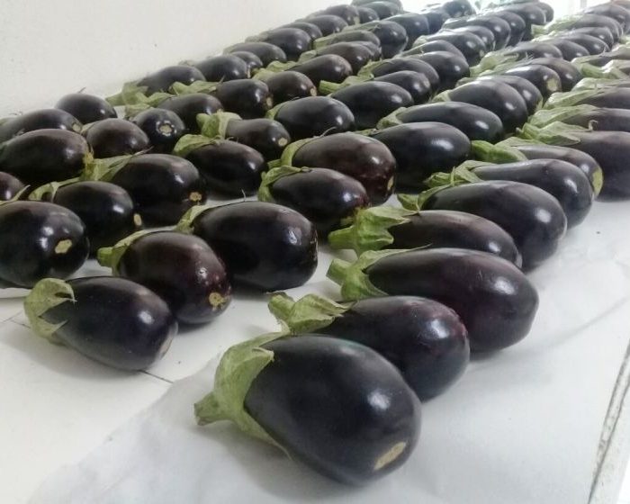 Antes y después de la cosecha: estrategias para minimizar las pérdidas y desperdicios de frutas y verduras