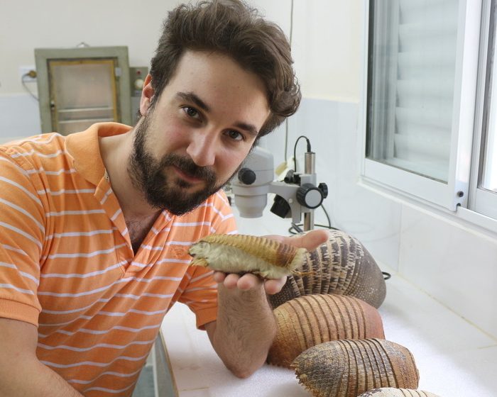 Hallan el primer fósil de pichiciego, el armadillo más pequeño del mundo