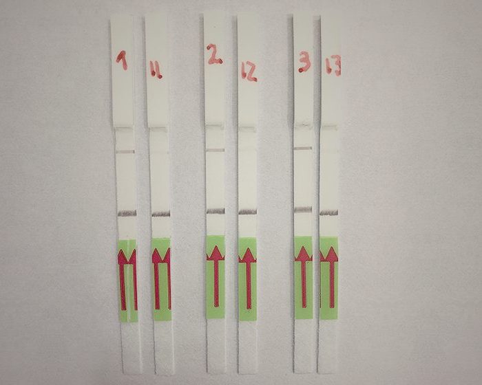 Avances en la validación de un test rápido y portátil de Coronavirus (SARS-CoV-2) en base a tecnología CRISPR