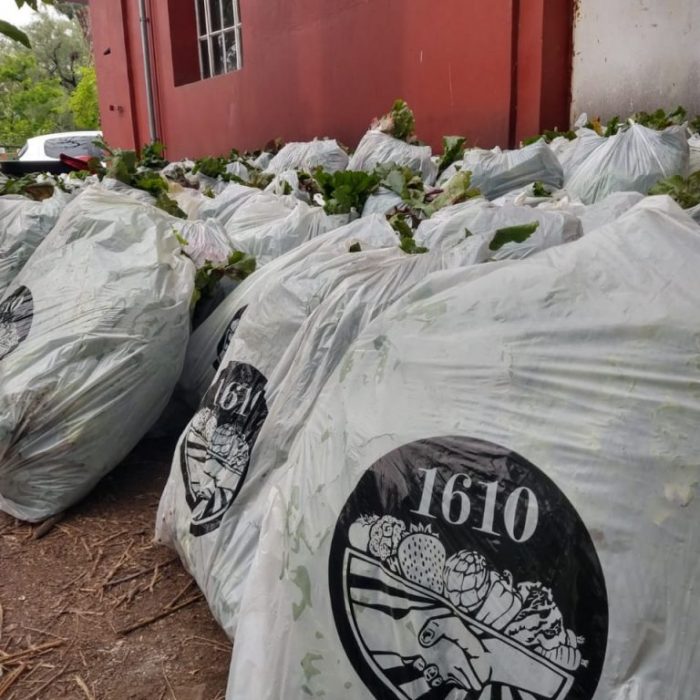 Verduras agroecológicas de estación puerta a puerta Verduras agroecológicas de estación puerta a puerta