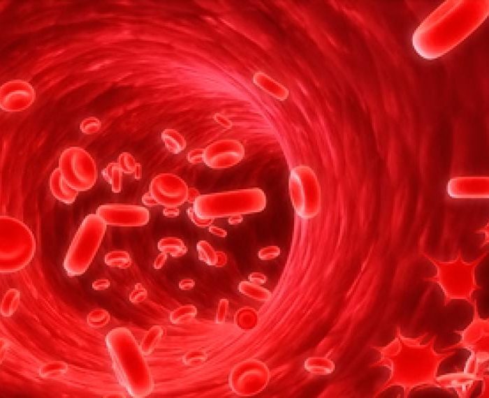 Destacan la importancia de prevenir el sangrado en personas con hemofilia