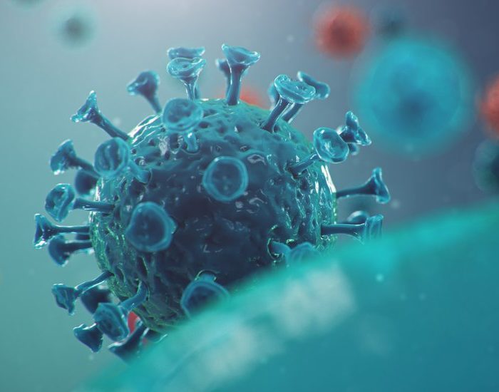 “La ciencia alertó sobre la necesidad de investigar más los coronavirus”